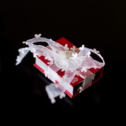 11724___ICS_3194