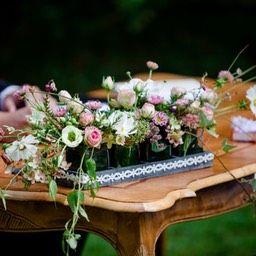 11904___IMG_9553