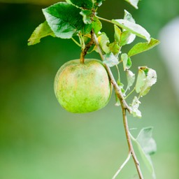 11911___IMG_9590